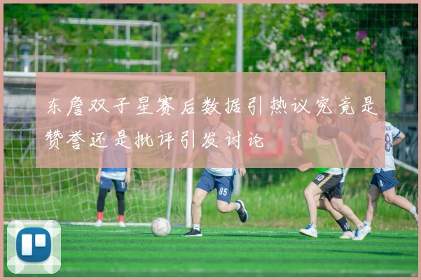 东詹双子星赛后数据引热议究竟是赞誉还是批评引发讨论