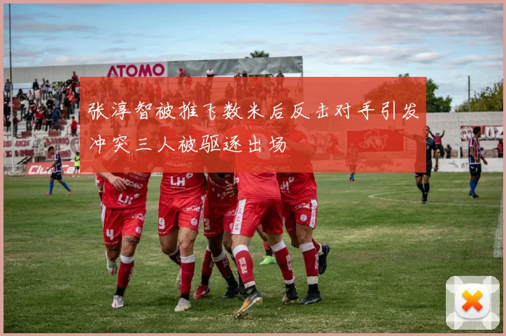 张淳智被推飞数米后反击对手引发冲突三人被驱逐出场