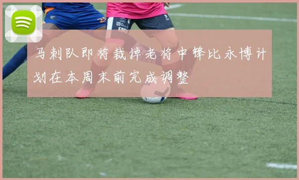 马刺队即将裁掉老将中锋比永博计划在本周末前完成调整